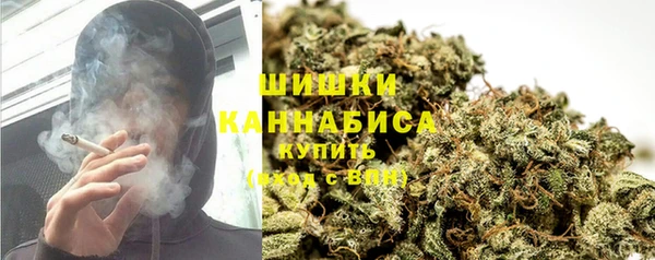 молекула духа Новый Уренгой