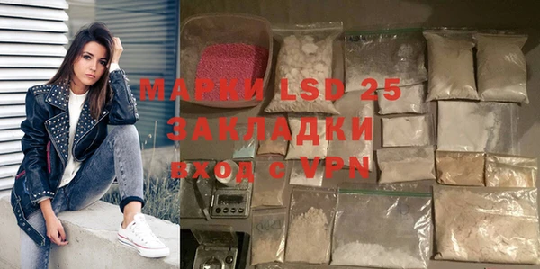 шишки Лагань