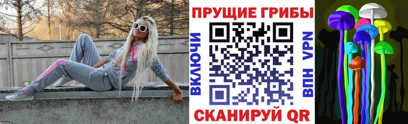 Псилоцибиновые грибы GOLDEN TEACHER  Южа 